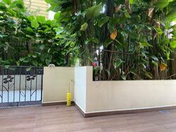 Holland Link (D10), Terrace #461060971